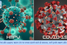 कोरोना और HMPV: श्वसन तंत्र पर प्रभाव डालने वाले दो वायरस, जानें इनके लक्षण और अंतर