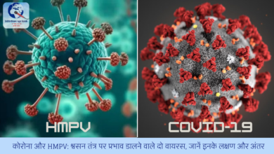 कोरोना और HMPV: श्वसन तंत्र पर प्रभाव डालने वाले दो वायरस, जानें इनके लक्षण और अंतर